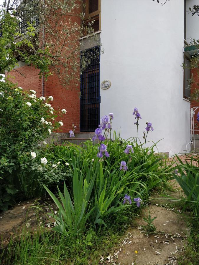 Al Canaiolo Apartment Strada in Chianti ภายนอก รูปภาพ